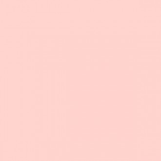 4100805 07 Rose 11,55x11,55