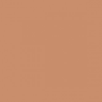 4100810 12 Terra 11,55x11,55