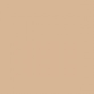 4100817 19 Nut 11,55x11,55