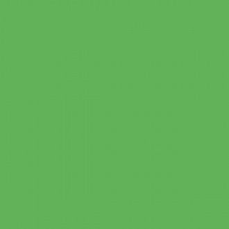 4100836 38 Frog 11,55x11,55