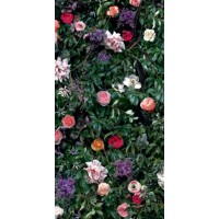 4100993 William 60x120