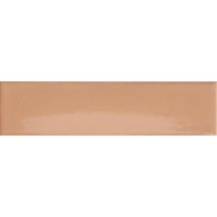 4101042 Nude 5x20