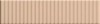 4101165 Biscuit Strip Powder 5x20