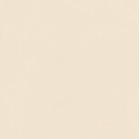 4101180 Керамогранит Nok Ivory 120x120