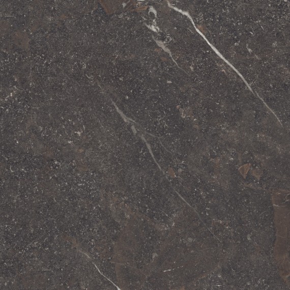 Керамогранит 42819 Royal Brown/100X100X0,8/A/R 100x100