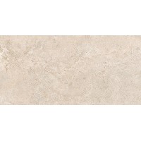 44EA29R ELBA TAUPE REC. R10 60X120