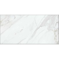 44LC49R Calacata 60x120
