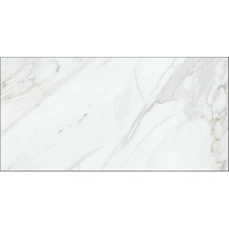 44LC49R Calacata 60x120