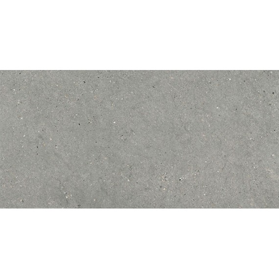 Керамогранит 44MI39R MITICA GRIS REC R10 60X120