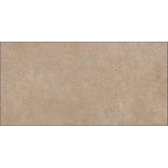 44NG29R Tierra 60x120