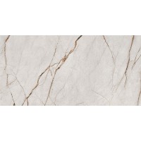44V139P VOLTERRA GRIS PUL. 59X119