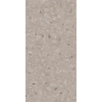 467 Stone Beige 60x120
