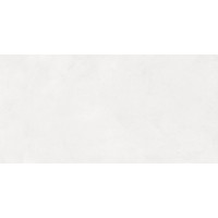 48030R Плитка Evolution blanco матовый обрезной 40x80