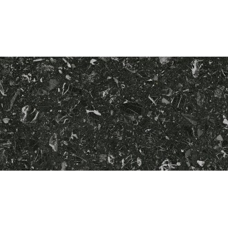 4ZLL Керамогранит Luna-R Negro R10 60x120