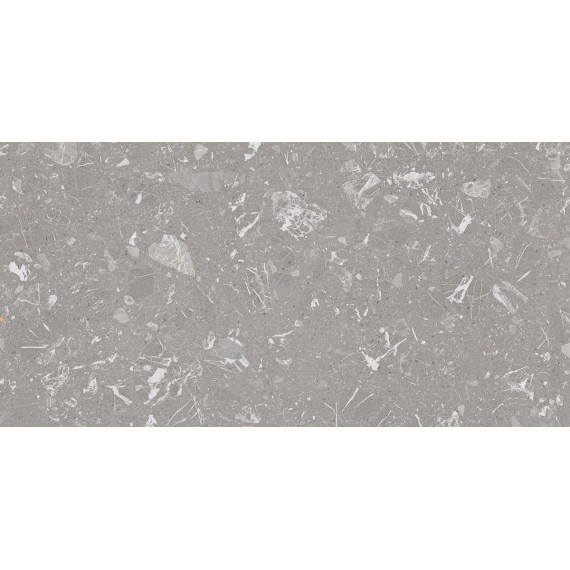 Керамогранит 4ZLN Керамогранит Luna-R Gris Pulido 59,3x119,3