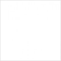 5009 Плитка Калейдоскоп белый 20*20