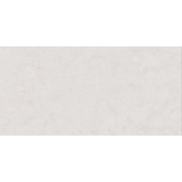 506201201 PROVENCE GREY 20.1x40.5