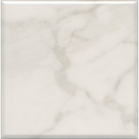 5287 Плитка Стемма белый 20*20