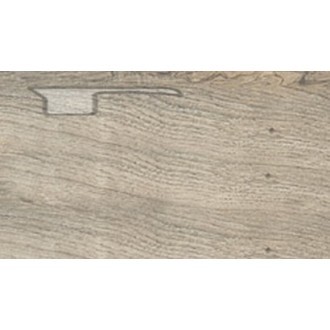 539 Олива Финишный