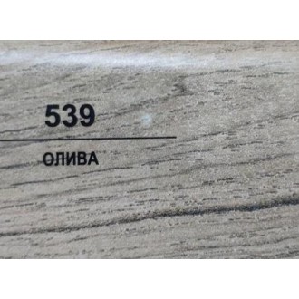 539 Олива 70мм