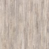 550171003 IVORY DREAMS