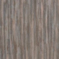 550171007 SUGAR CINNAMON