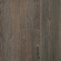557 Balterio Magnitude Дуб титан