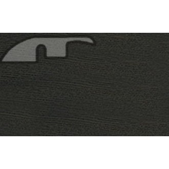 580 Дуб смолистый