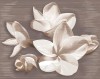 584192003 Плитка Панно AMATI PLUMERIA ALBA 40,2x50,5