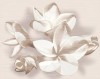 584192004 Плитка Панно AMATI PLUMERIA BEIGE 40,2x50,5