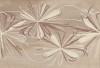 587892001 Плитка Декор Sonnet Beige Flower 20,1х50,5