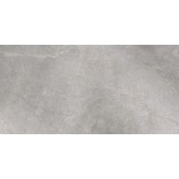 5903313315494 Masterstone Silver Rect R9 119.7x59.7