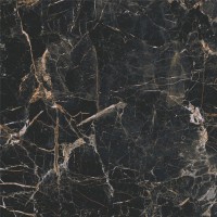 5903313317061 Marquina Gold POL 119.7x119.7
