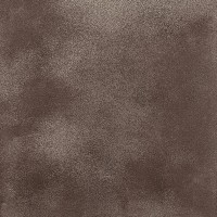 5L02 Fusion Bronze Lap. Liscia Rett 49x49