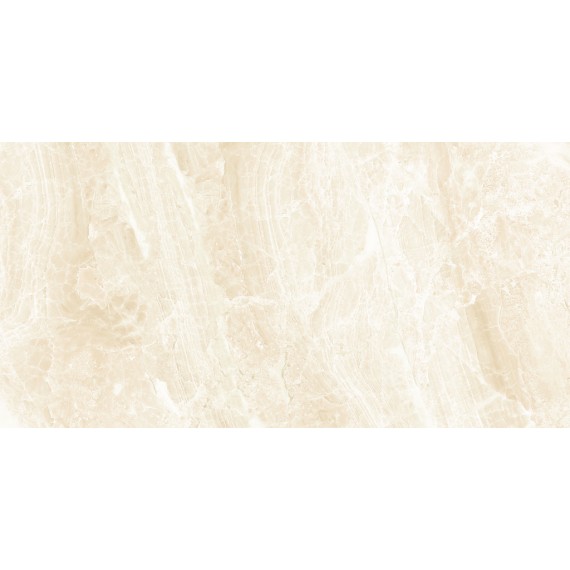 Керамическая плитка 5 DL 0045 Плитка Дельма 0045 25x50