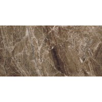 5 DL 0058 Плитка Дельма 0058 25x50