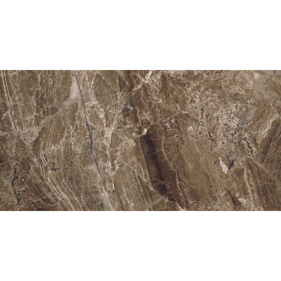 Керамическая плитка 5 DL 0058 Плитка Дельма 0058 25x50