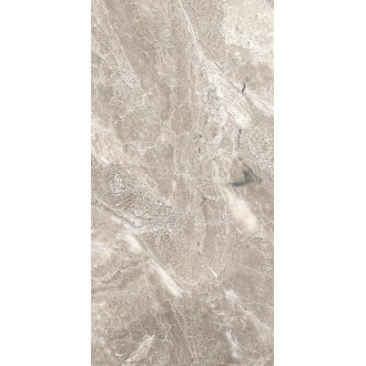 5 GA 0016 Плитка Гарда 0016 25x50