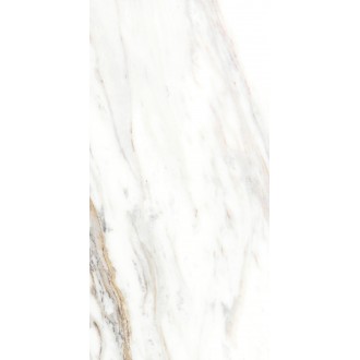 5 GR 0041 Плитка Галера 0041 25x50