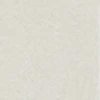 600010002400 Керамогранит Rinascente Resin White Matt Rett 120x120