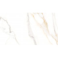 6000877 Керамогранит CAVA LUSSO LEV/RET 60x120