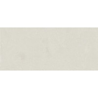 600180000055 Керамогранит Rinascente Resin White Matt Rett 120x278