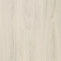 60039 Xperience 4V Вяз Magnolia