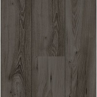 60058 Xperience 4V Вяз Багира