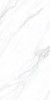 60120AMC15P American Calacatta 60x120