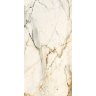 60120CBO55P Calacatta Borghini 60x120