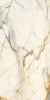 60120CBO55P Calacatta Borghini 60x120