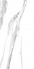 60120STA15P Statuario Silver 60x120