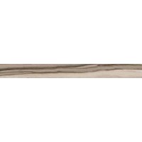 60384 EPIC CAMEL RET 10*100