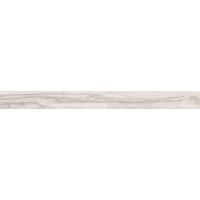 60388 EPIC WHITE RET 10*100